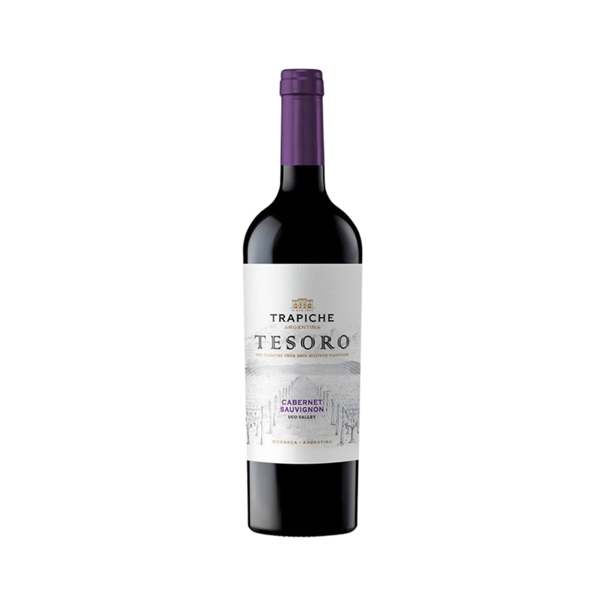 Vino Trapiche Tesoro Cabernet Sauvignon 750 ml