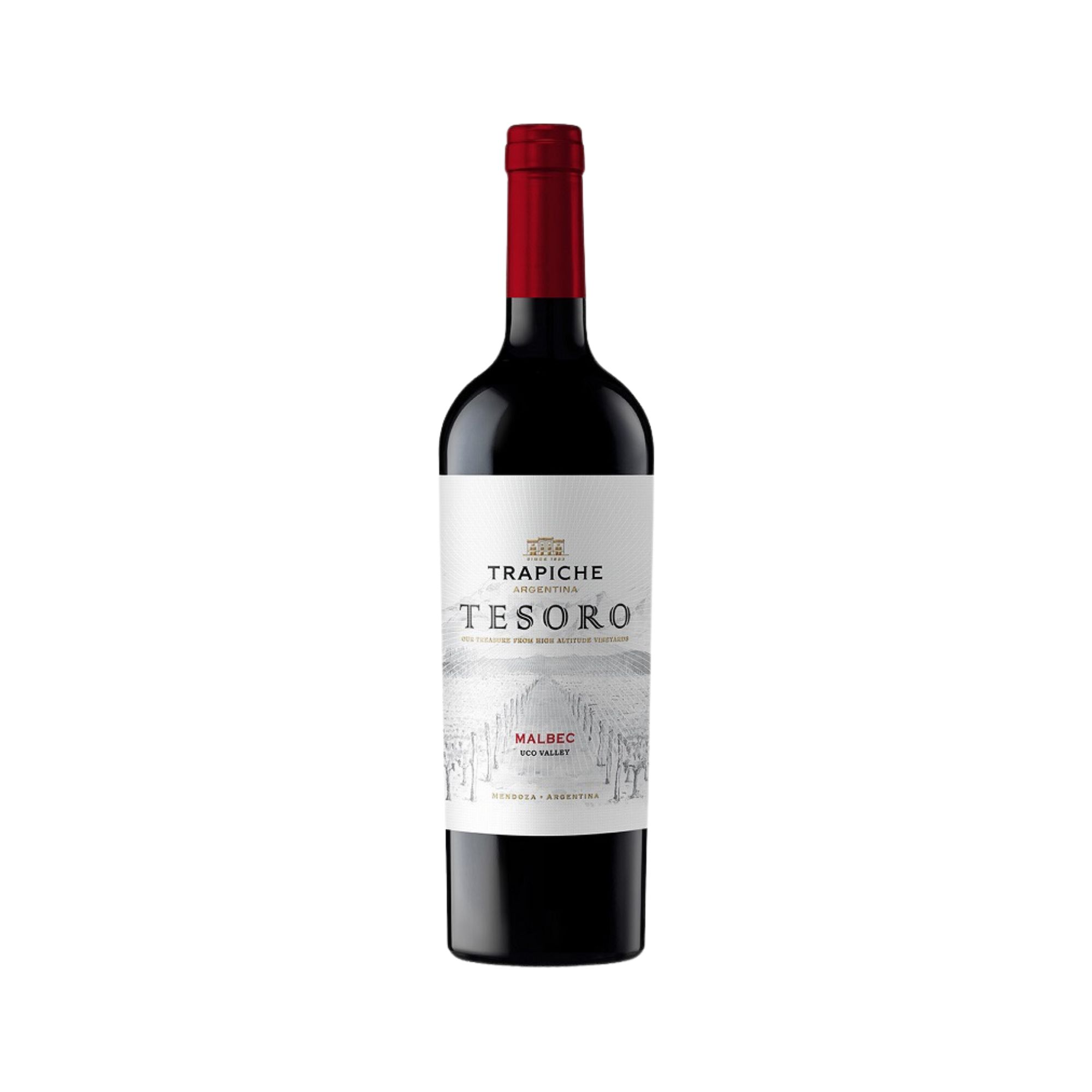 Vino Trapiche Tesoro Malbec 750 ml
